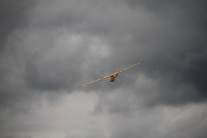IMG_0246 (1)